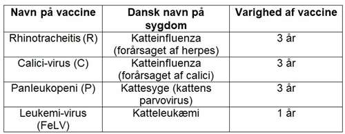 skema vacciner kat