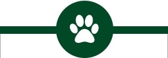 lille ikon hundeinfo